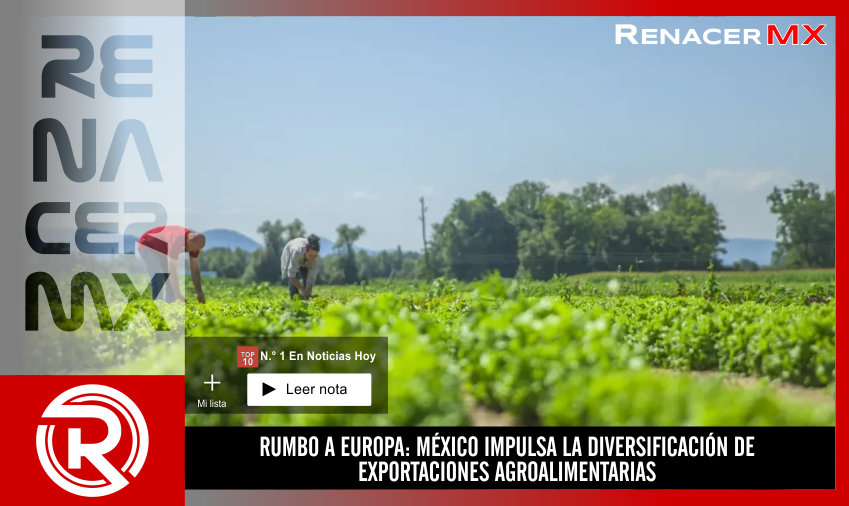 RUMBO A EUROPA: MÉXICO IMPULSA LA DIVERSIFICACIÓN DE EXPORTACIONES AGROALIMENTARIAS