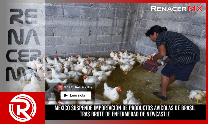MÉXICO SUSPENDE IMPORTACIÓN DE PRODUCTOS AVÍCOLAS DE BRASIL TRAS BROTE DE ENFERMEDAD&hellip;