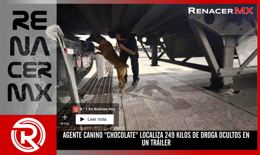 AGENTE CANINO 